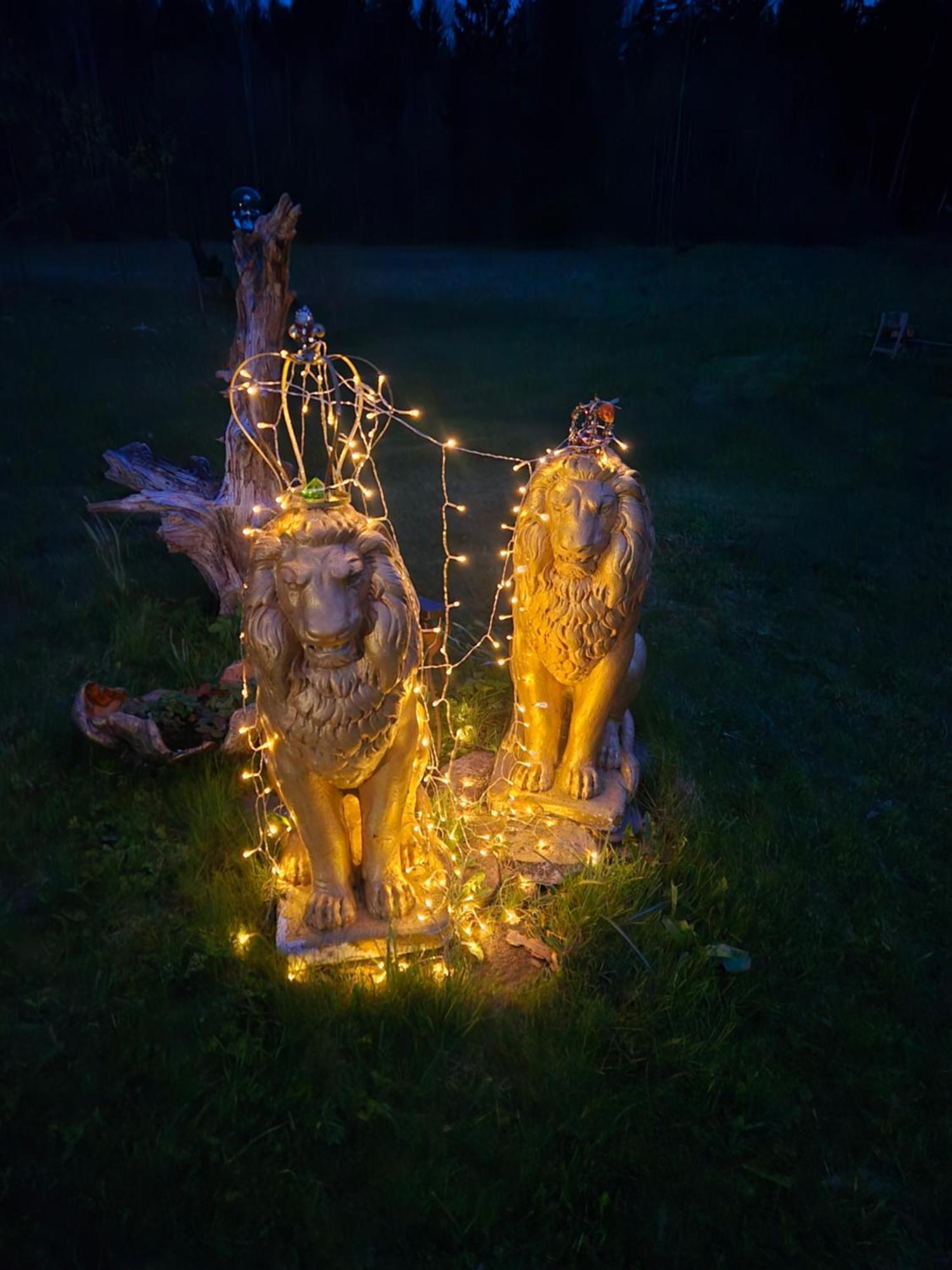 Gold Sun Zelta Saule Villa Matkule ภายนอก รูปภาพ